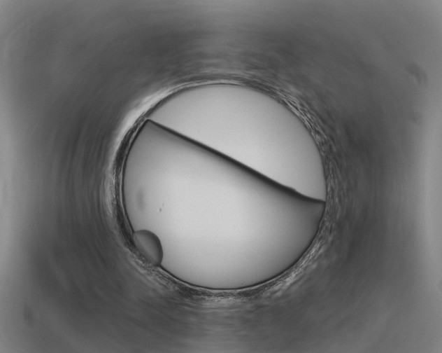 X0000115490342200911061006