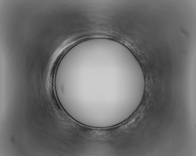 X0000115490343200911061006