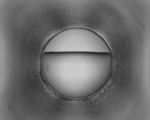 X0000115490345200911061006