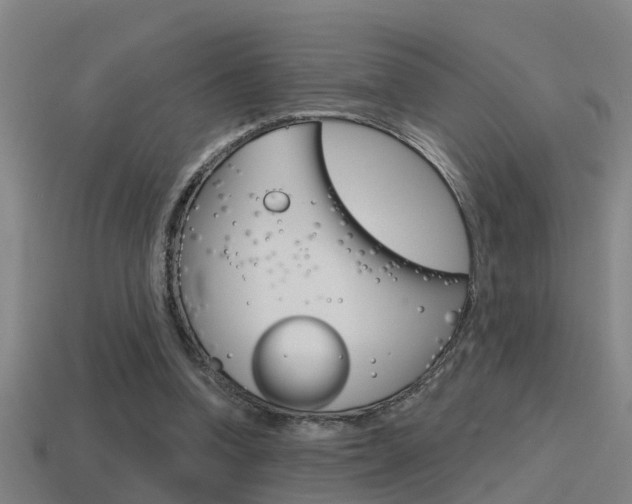 X0000115490346200911061006