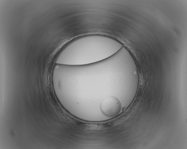 X0000115490347200911061006