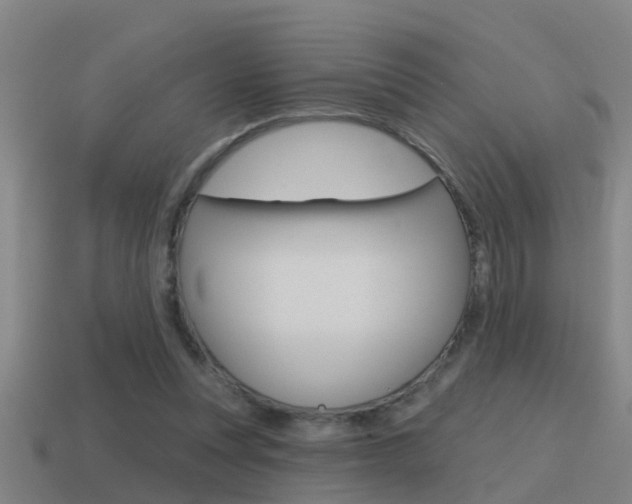 X0000115490351200911061006