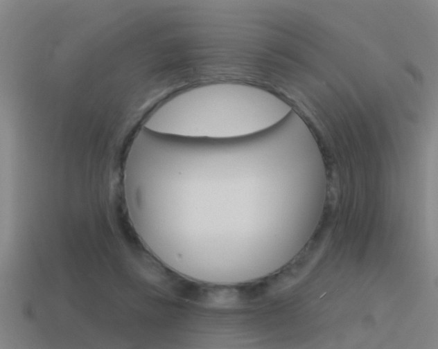 X0000115490355200911061007