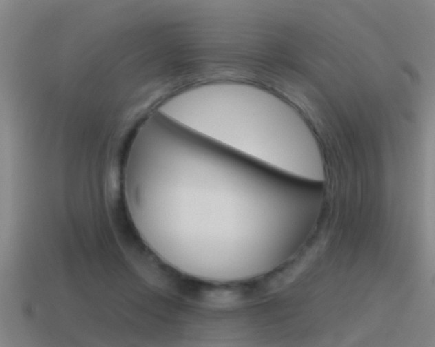X0000115490358200911061007