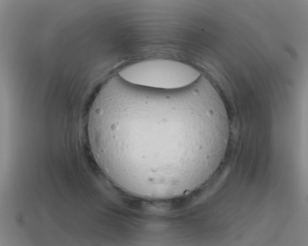 X0000115490359200911061007