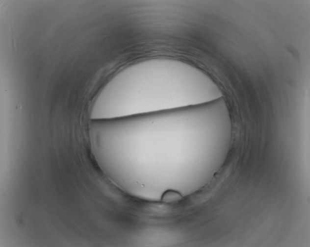 X0000115490361200911061007