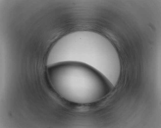 X0000115490362200911061007