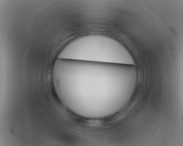 X0000115490363200911061007