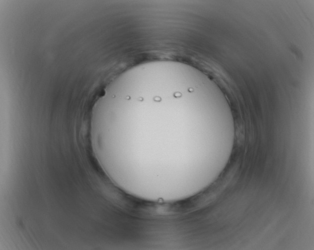 X0000115490365200911061007