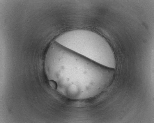 X0000115490366200911061007
