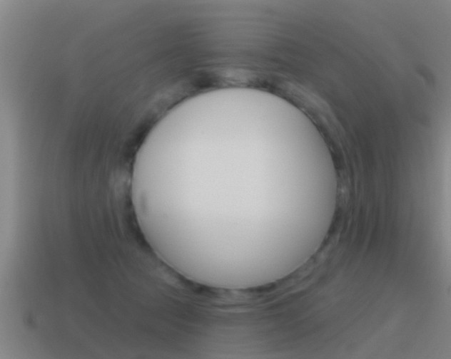 X0000115490369200911061007