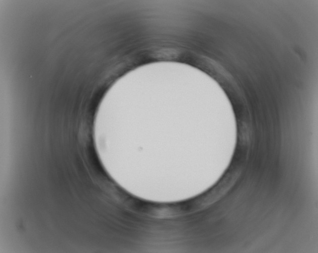 X0000115490370200911061007