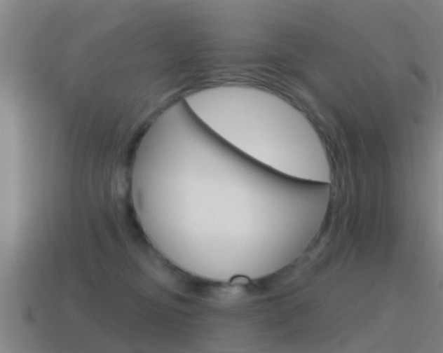 X0000115490374200911061007