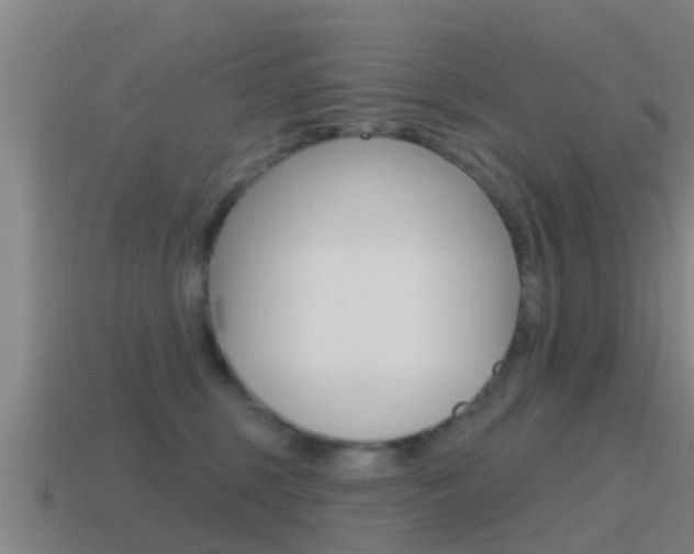 X0000115490375200911061007