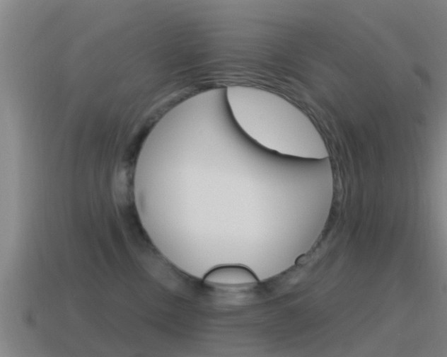 X0000115490378200911061007