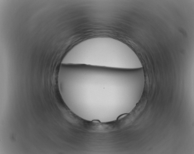 X0000115490379200911061007