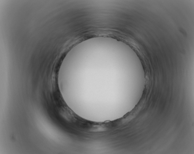 X0000115490381200911061007
