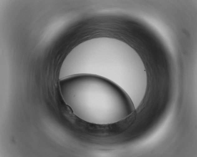 X0000115490382200911061007