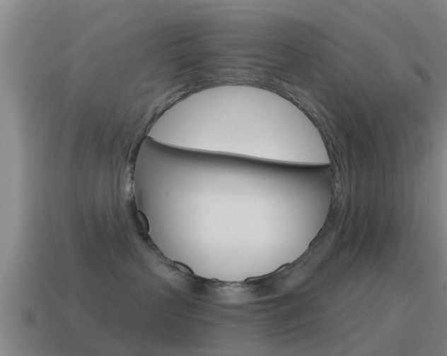X0000115490383200911061007