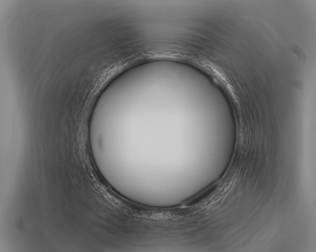 X0000115490385200911061006