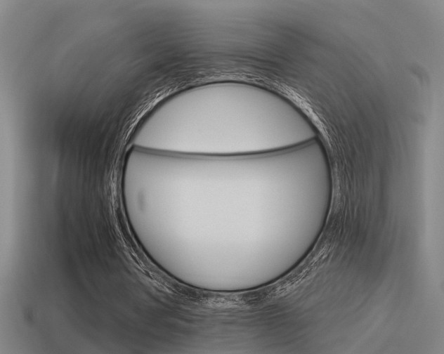 X0000115490386200911061006