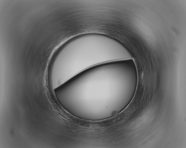 X0000115490388200911061006