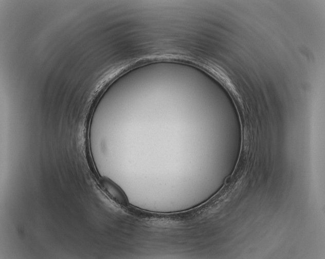 X0000115490389200911061006