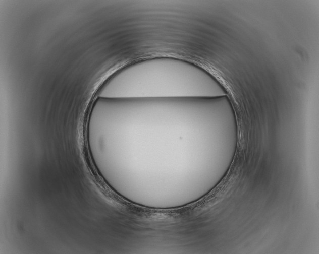X0000115490390200911061006
