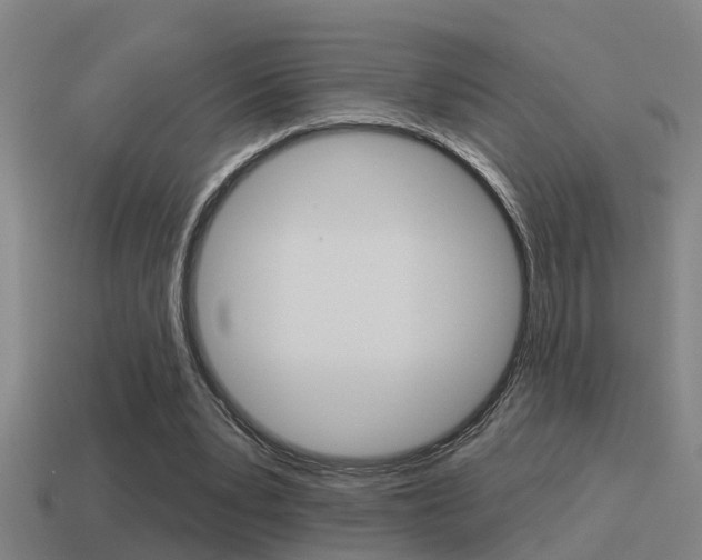 X0000115490391200911061006