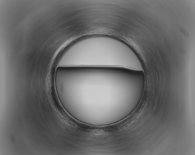 X0000115490392200911061006