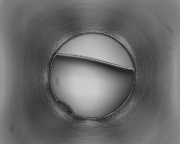X0000115490393200911061006