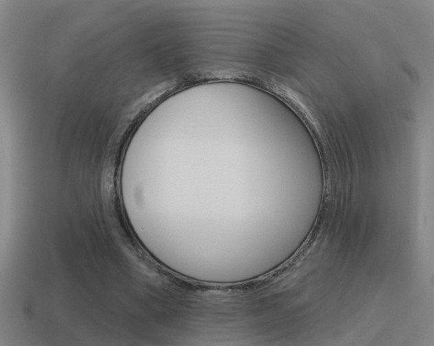 X0000115490394200911061006