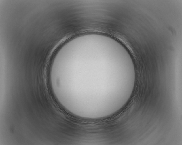 X0000115490395200911061006