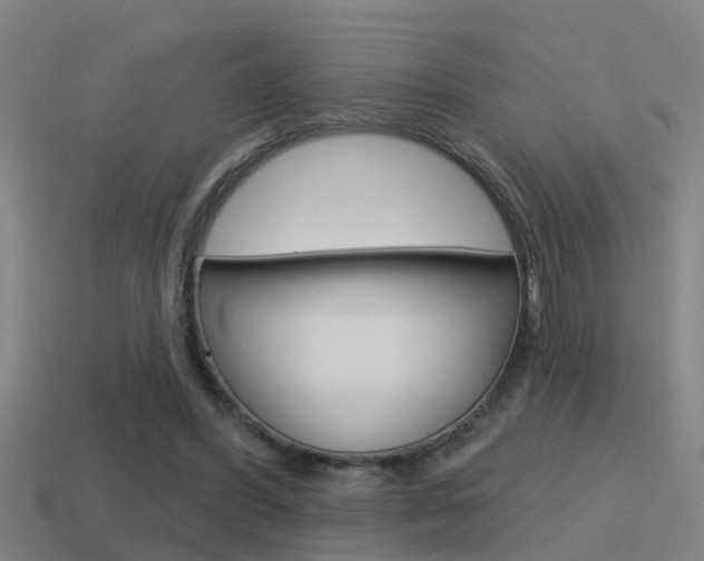 X0000115490396200911061006