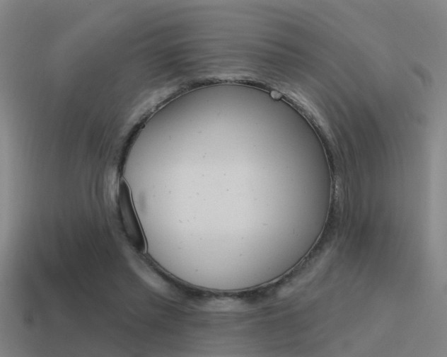 X0000115490397200911061006