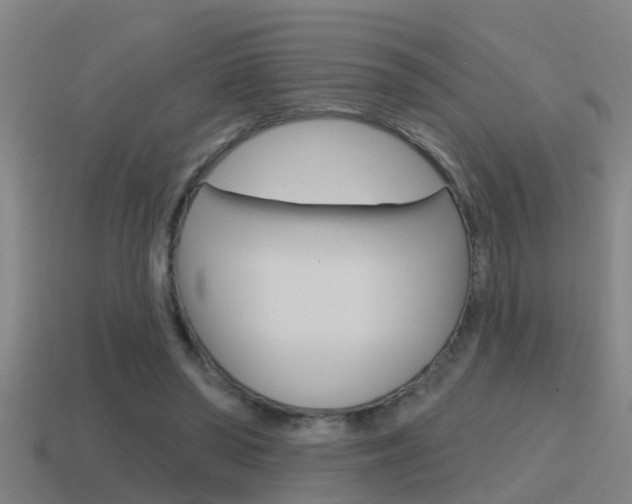 X0000115490398200911061006
