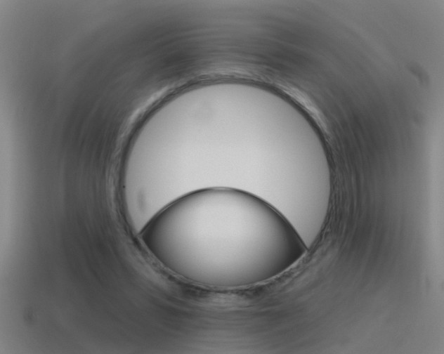 X0000115490399200911061006