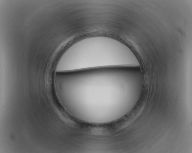 X0000115490400200911061006
