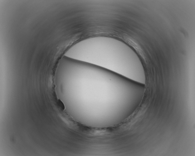 X0000115490401200911061006