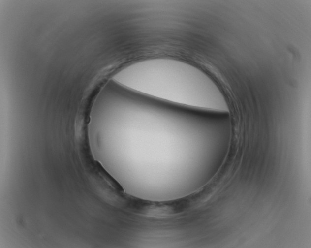 X0000115490403200911061006