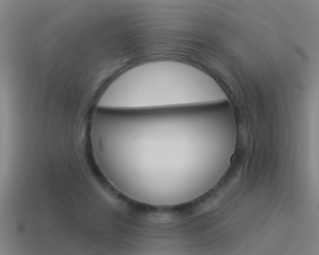 X0000115490404200911061006