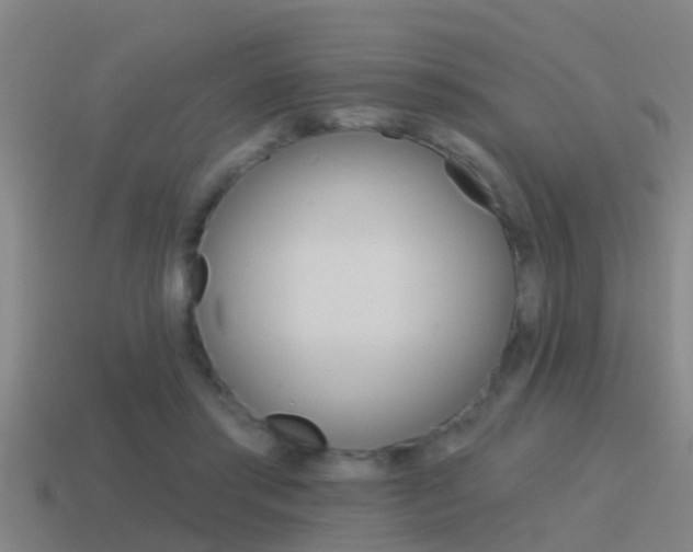 X0000115490405200911061006