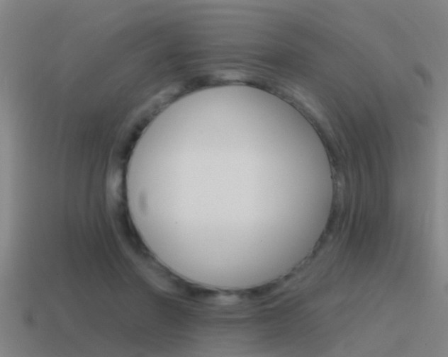 X0000115490406200911061006