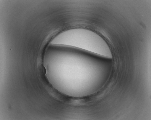 X0000115490407200911061006