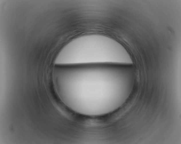 X0000115490408200911061006