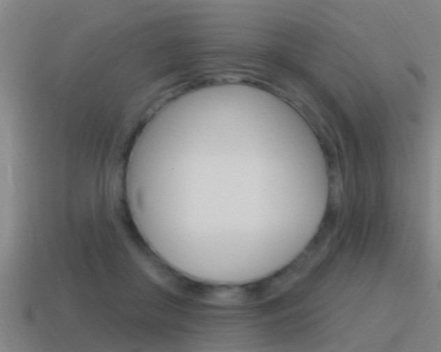 X0000115490410200911061006