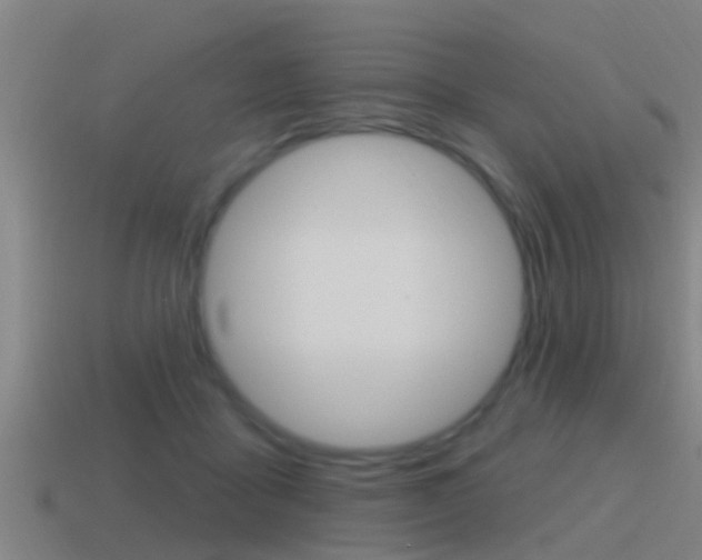 X0000115490411200911061006