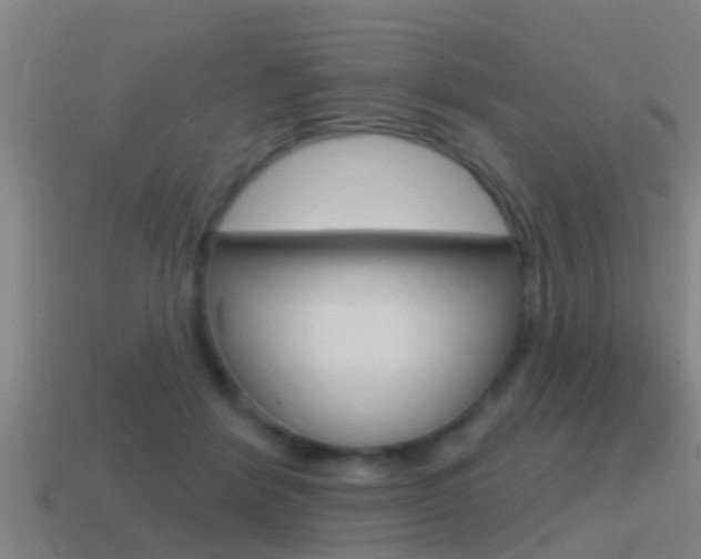 X0000115490412200911061006
