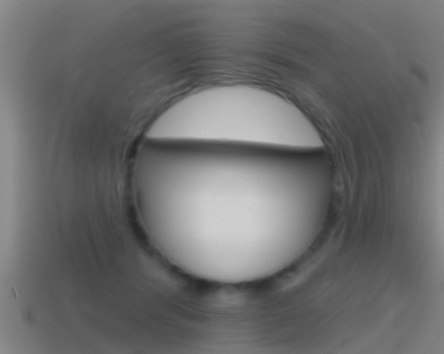 X0000115490416200911061006
