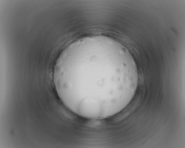 X0000115490418200911061006